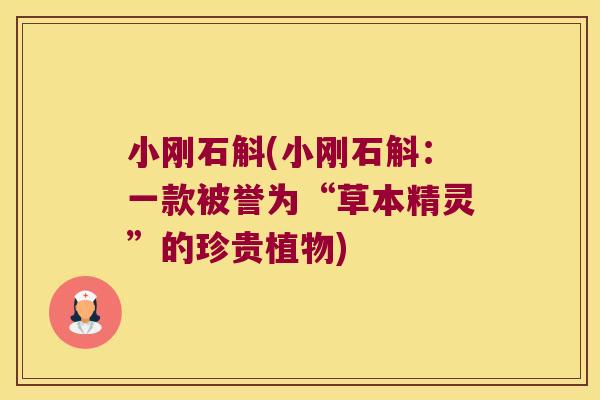 小刚石斛(小刚石斛：一款被誉为“草本精灵”的珍贵植物)