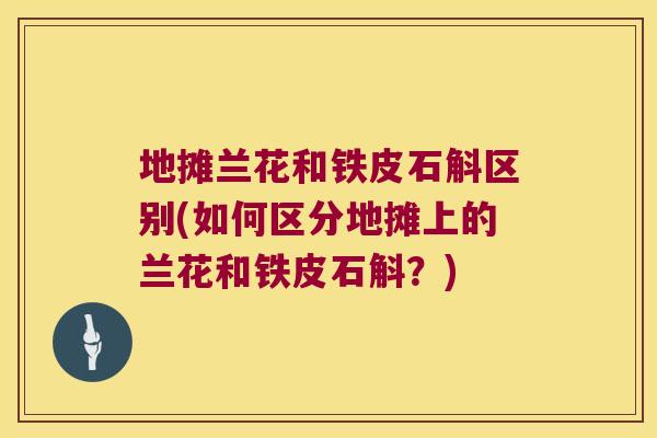 地摊兰花和铁皮石斛区别(如何区分地摊上的兰花和铁皮石斛？)