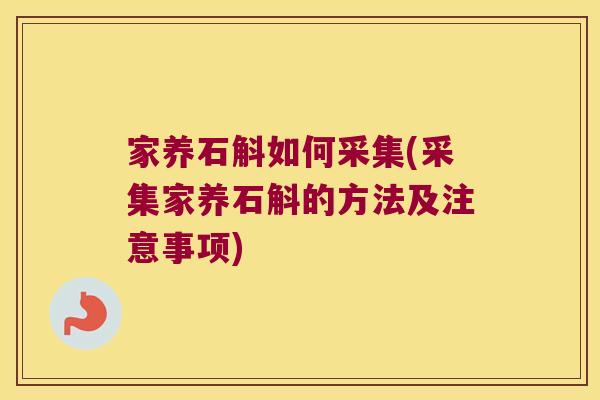 家养石斛如何采集(采集家养石斛的方法及注意事项)