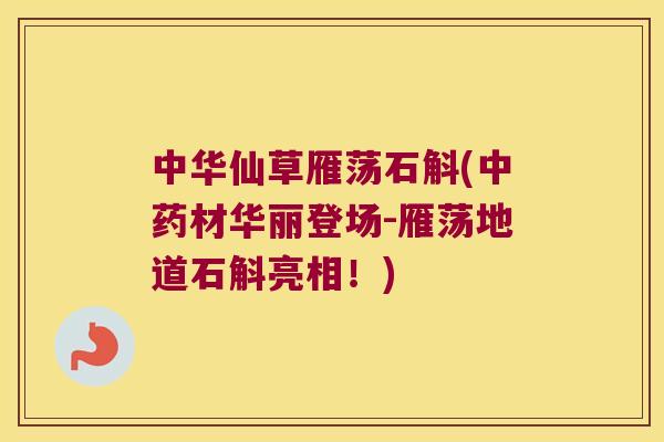 中华仙草雁荡石斛(中药材华丽登场-雁荡地道石斛亮相！)