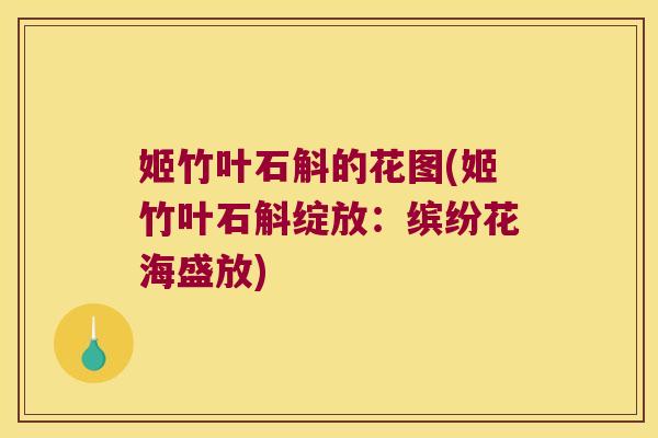 姬竹叶石斛的花图(姬竹叶石斛绽放：缤纷花海盛放)