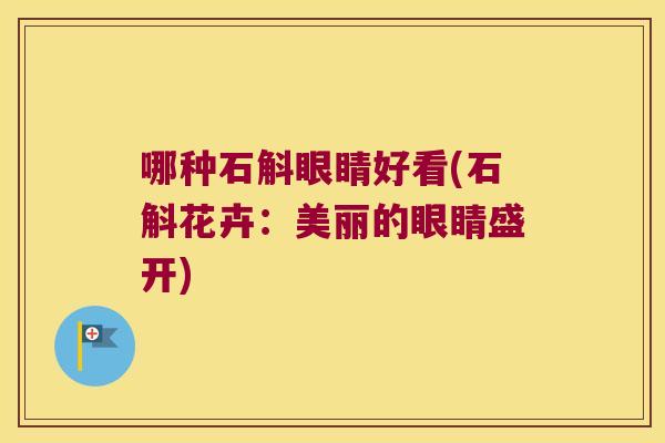 哪种石斛眼睛好看(石斛花卉：美丽的眼睛盛开)