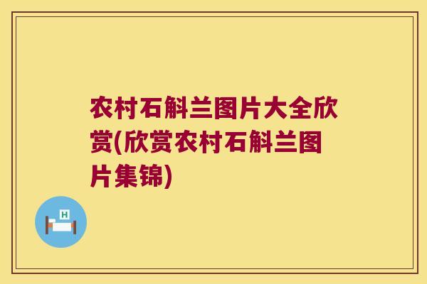 农村石斛兰图片大全欣赏(欣赏农村石斛兰图片集锦) 农村石斛兰图片大全欣赏(欣赏农村石斛兰图片集锦)