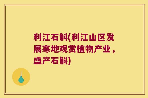 利江石斛(利江山区发展寒地观赏植物产业，盛产石斛)