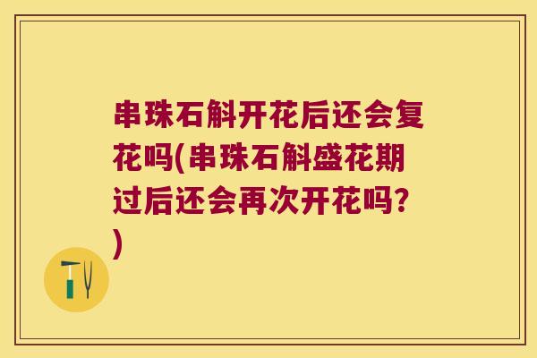 串珠石斛开花后还会复花吗(串珠石斛盛花期过后还会再次开花吗？)
