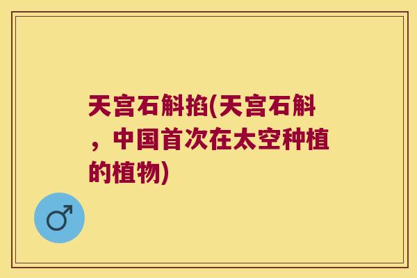 天宫石斛掐(天宫石斛，中国首次在太空种植的植物)