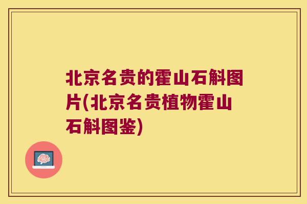 北京名贵的霍山石斛图片(北京名贵植物霍山石斛图鉴)