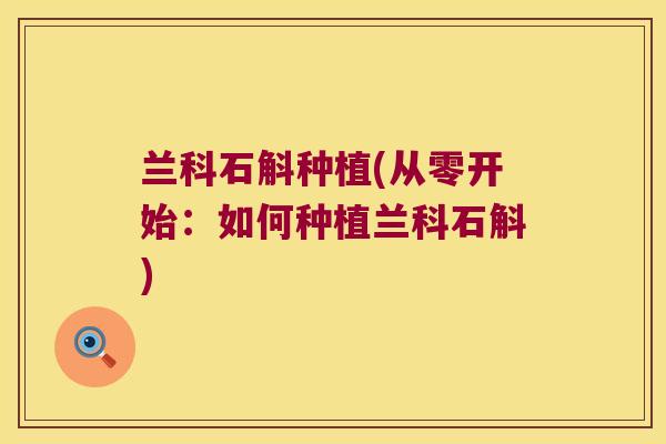 兰科石斛种植(从零开始：如何种植兰科石斛)