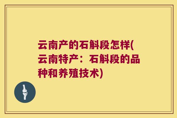 云南产的石斛段怎样(云南特产：石斛段的品种和养殖技术)