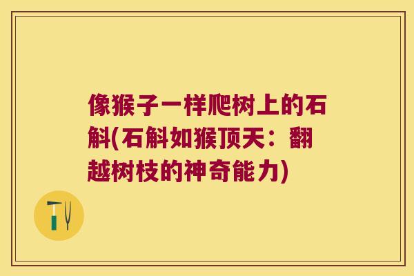 像猴子一样爬树上的石斛(石斛如猴顶天：翻越树枝的神奇能力)