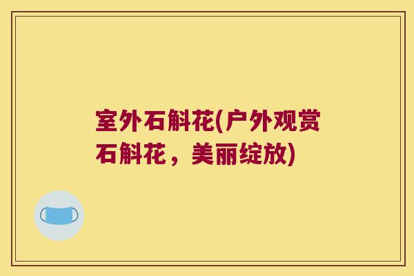 室外石斛花(户外观赏石斛花,美丽绽放) 室外石斛花(户外观赏石斛花,美丽绽放)