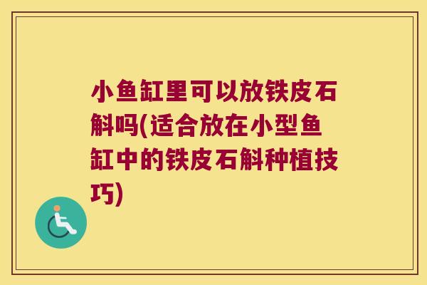 小鱼缸里可以放铁皮石斛吗(适合放在小型鱼缸中的铁皮石斛种植技巧)
