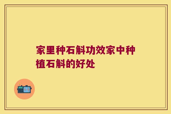 家里种石斛功效家中种植石斛的好处