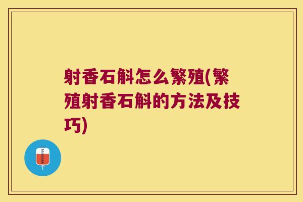 射香石斛怎么繁殖(繁殖射香石斛的方法及技巧)
