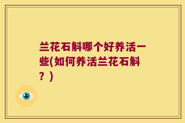 兰花石斛哪个好养活一些(如何养活兰花石斛？)
