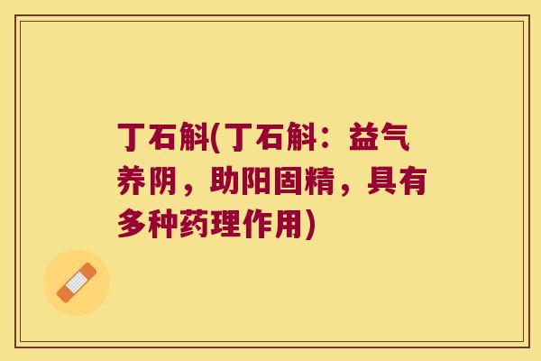 丁石斛(丁石斛：益气养阴，助阳固精，具有多种药理作用)