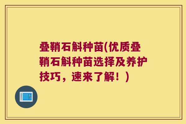 叠鞘石斛种苗(优质叠鞘石斛种苗选择及养护技巧，速来了解！)