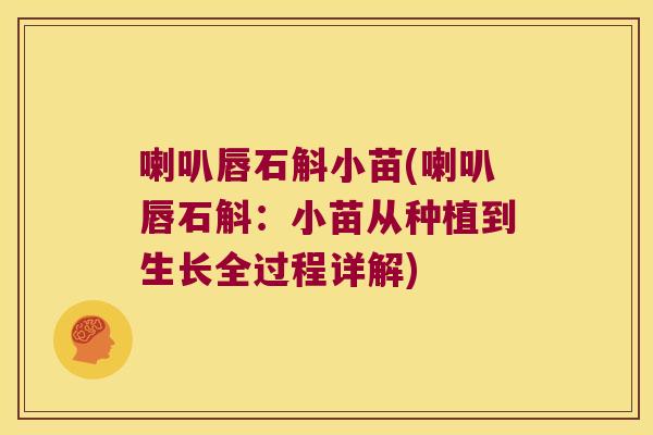 喇叭唇石斛小苗(喇叭唇石斛：小苗从种植到生长全过程详解)