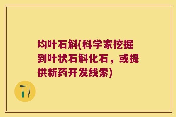 均叶石斛(科学家挖掘到叶状石斛化石，或提供新药开发线索)