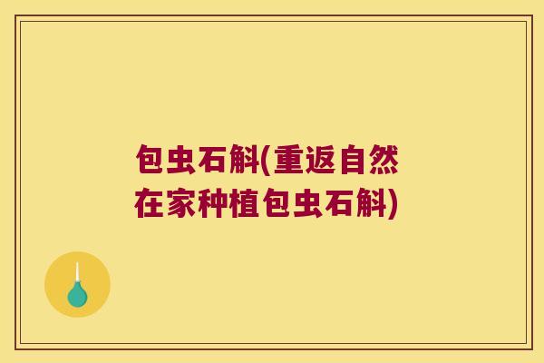 包虫石斛(重返自然 在家种植包虫石斛)