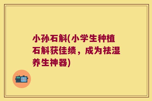 小孙石斛(小学生种植石斛获佳绩，成为祛湿养生神器)