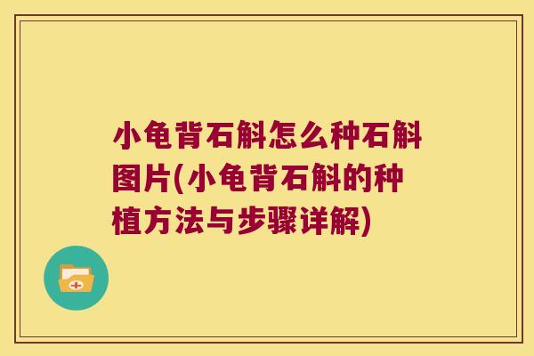 小龟背石斛怎么种石斛图片(小龟背石斛的种植方法与步骤详解)