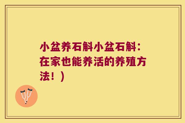 小盆养石斛小盆石斛：在家也能养活的养殖方法！)