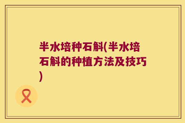 半水培种石斛(半水培石斛的种植方法及技巧)