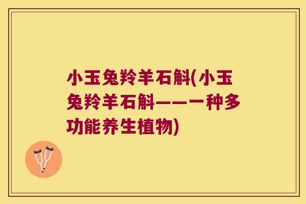小玉兔羚羊石斛(小玉兔羚羊石斛——一种多功能养生植物)