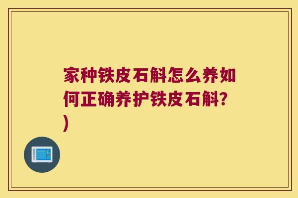 家种铁皮石斛怎么养如何正确养护铁皮石斛？)