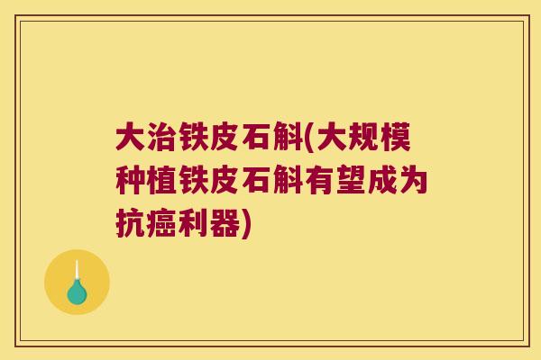 大治铁皮石斛(大规模种植铁皮石斛有望成为抗癌利器)