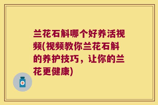 兰花石斛哪个好养活视频(视频教你兰花石斛的养护技巧，让你的兰花更健康)