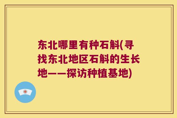 东北哪里有种石斛(寻找东北地区石斛的生长地——探访种植基地)