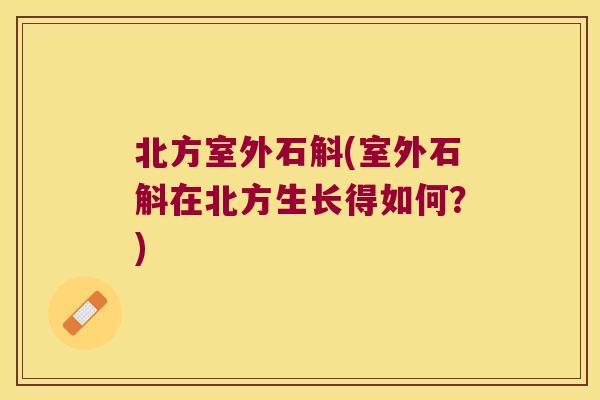 北方室外石斛(室外石斛在北方生长得如何？)