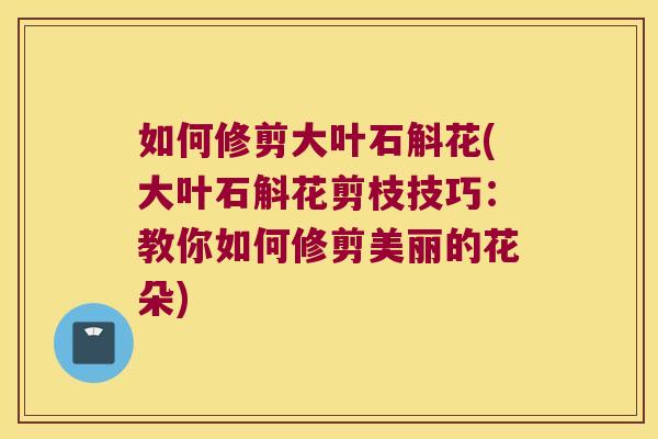 如何修剪大叶石斛花(大叶石斛花剪枝技巧：教你如何修剪美丽的花朵)