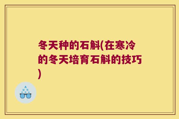 冬天种的石斛(在寒冷的冬天培育石斛的技巧)