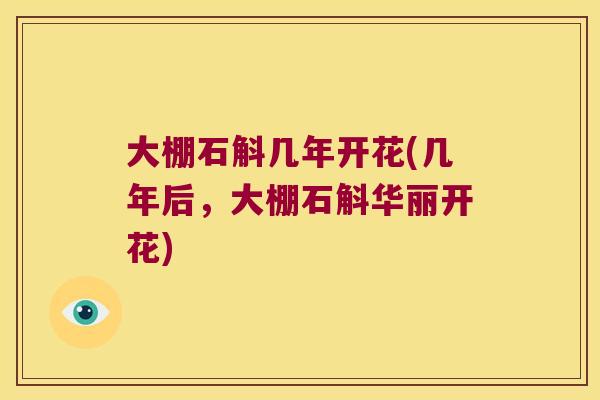 大棚石斛几年开花(几年后,大棚石斛华丽开花) 大棚石斛几年开花(几年后,大棚石斛华丽开花)