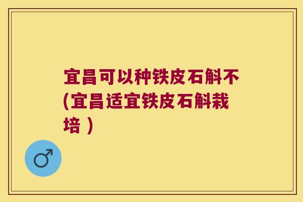 宜昌可以种铁皮石斛不(宜昌适宜铁皮石斛栽培 )