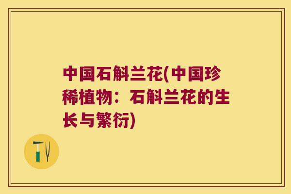 中国石斛兰花(中国珍稀植物：石斛兰花的生长与繁衍)
