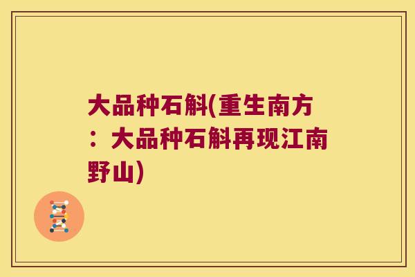 大品种石斛(重生南方：大品种石斛再现江南野山)