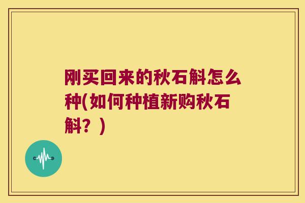 刚买回来的秋石斛怎么种(如何种植新购秋石斛？)