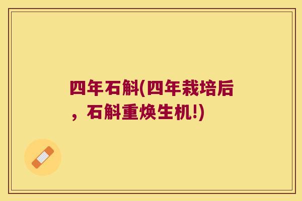 四年石斛(四年栽培后，石斛重焕生机!)