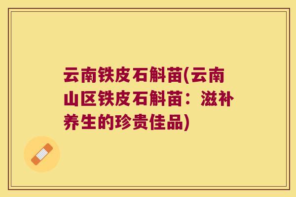 云南铁皮石斛苗(云南山区铁皮石斛苗：滋补养生的珍贵佳品)
