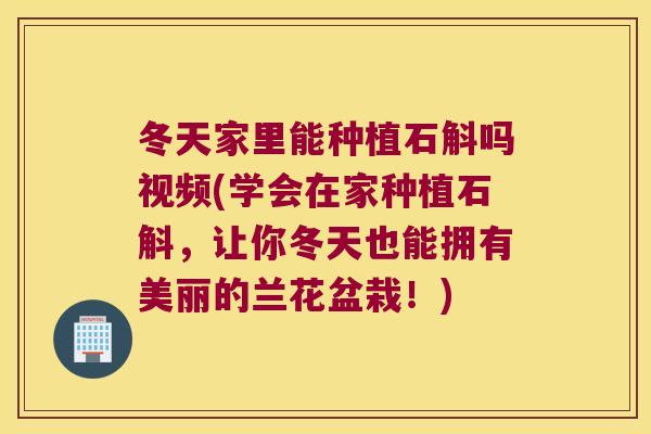 冬天家里能种植石斛吗视频(学会在家种植石斛，让你冬天也能拥有美丽的兰花盆栽！)