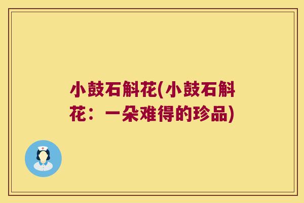 小鼓石斛花(小鼓石斛花：一朵难得的珍品)