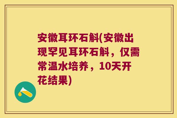 安徽耳环石斛(安徽出现罕见耳环石斛,仅需常温水培养,10天开花结果) 安徽耳环石斛(安徽出现罕见耳环石斛,仅需常温水培养,10天开花结果)