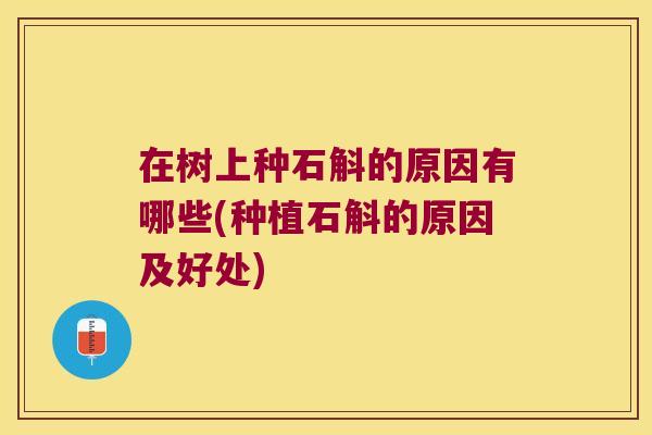 在树上种石斛的原因有哪些(种植石斛的原因及好处)