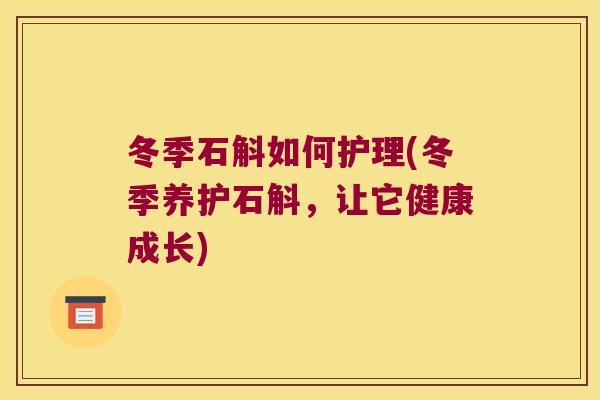 冬季石斛如何护理(冬季养护石斛，让它健康成长)