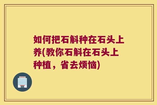 如何把石斛种在石头上养(教你石斛在石头上种植，省去烦恼)