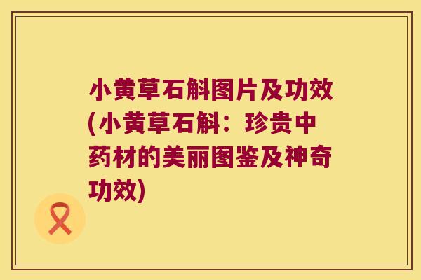 小黄草石斛图片及功效(小黄草石斛：珍贵中药材的美丽图鉴及神奇功效)